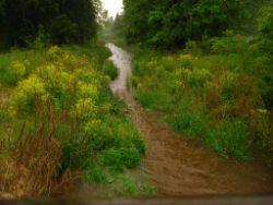 2013-06-02_Regina-F-Rau_Geretsrieder-Stadtbach_Isar (01).JPG